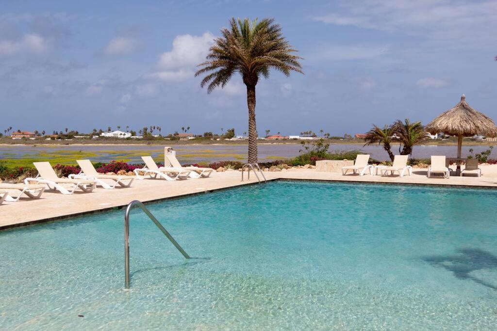 New! Cozy 1 Bedroom Condo- Gold Coast, Noord Aruba Palm Beach Luaran gambar