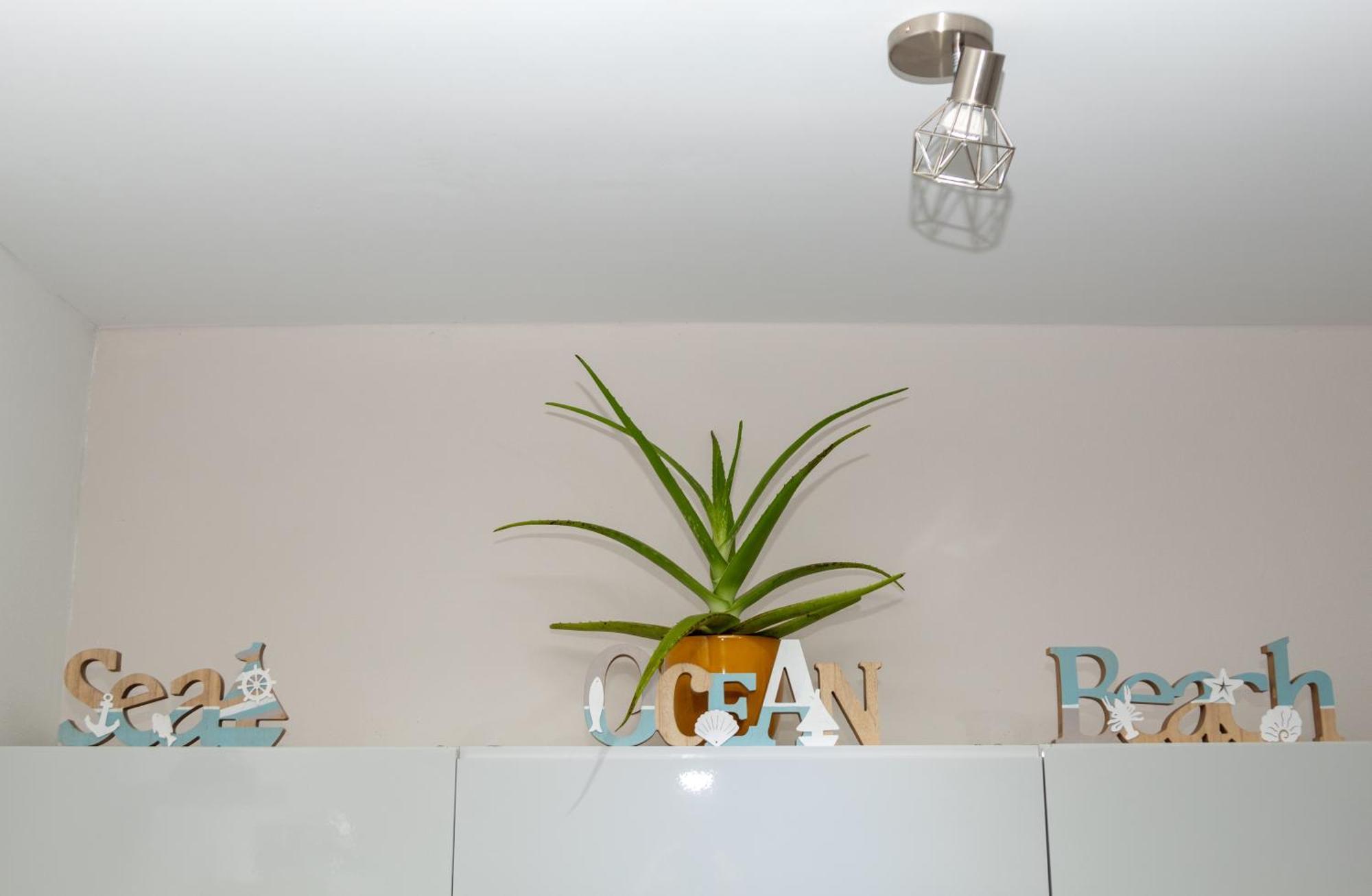 New! Cozy 1 Bedroom Condo- Gold Coast, Noord Aruba Palm Beach Luaran gambar